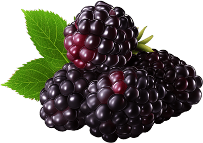 Blackberry